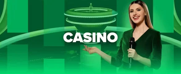 stake casino online